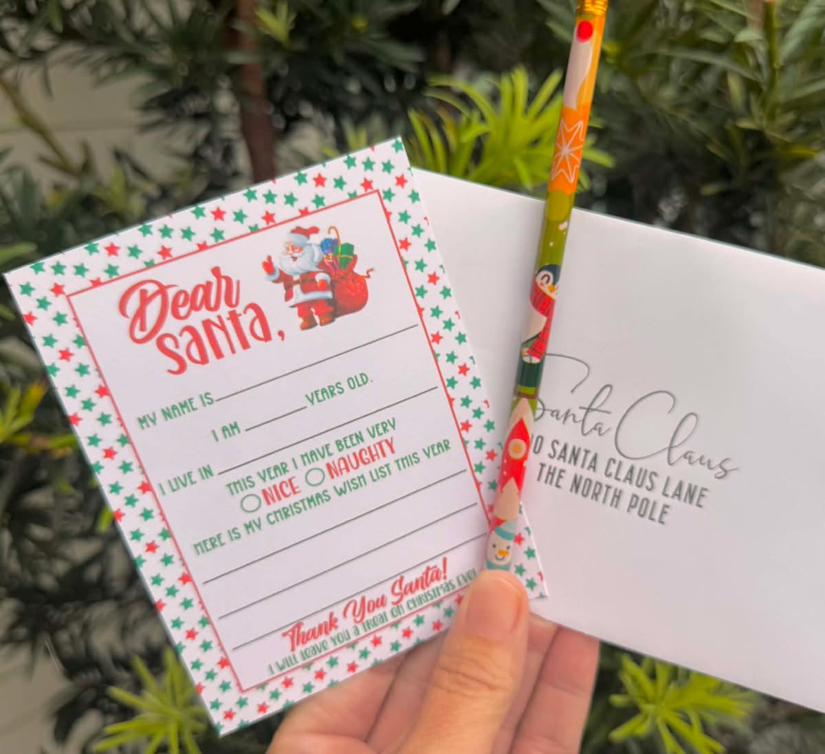 Dear Santa Letter