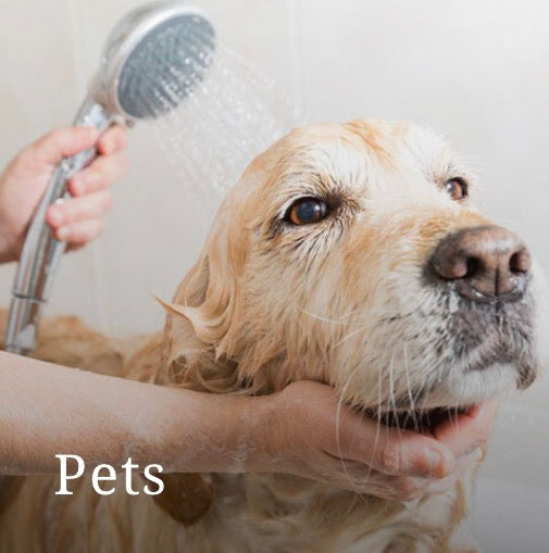 Pet Care