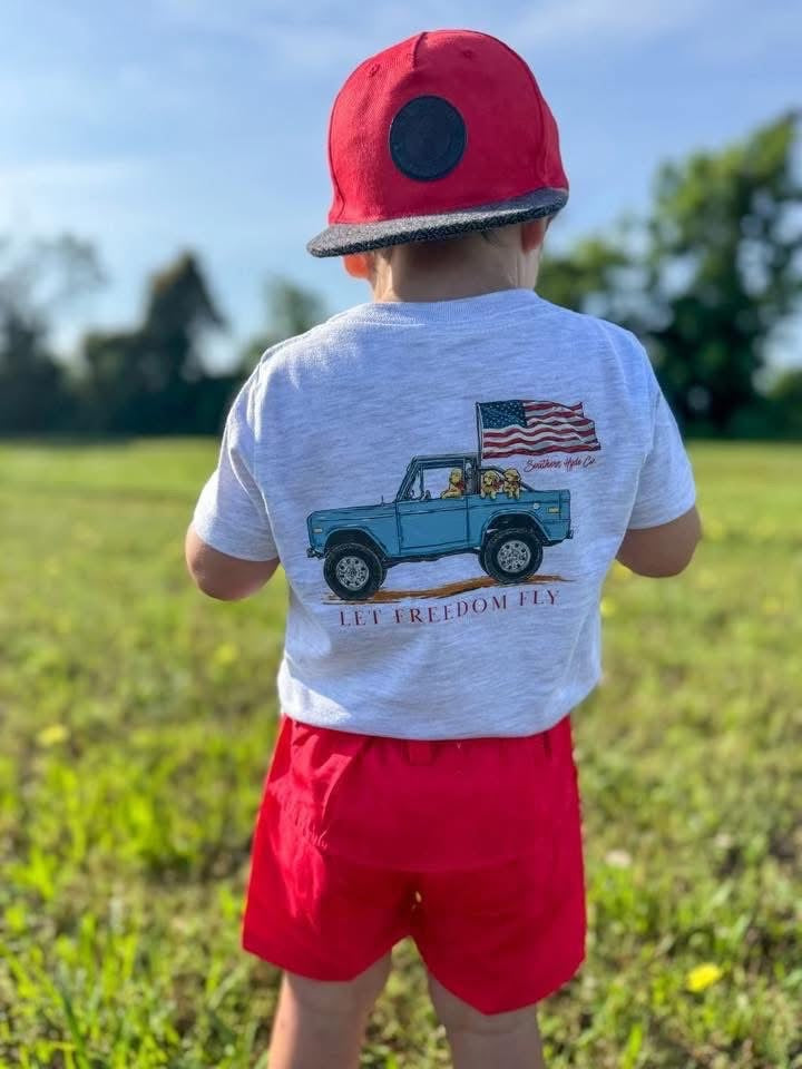 Let Freedom Fly