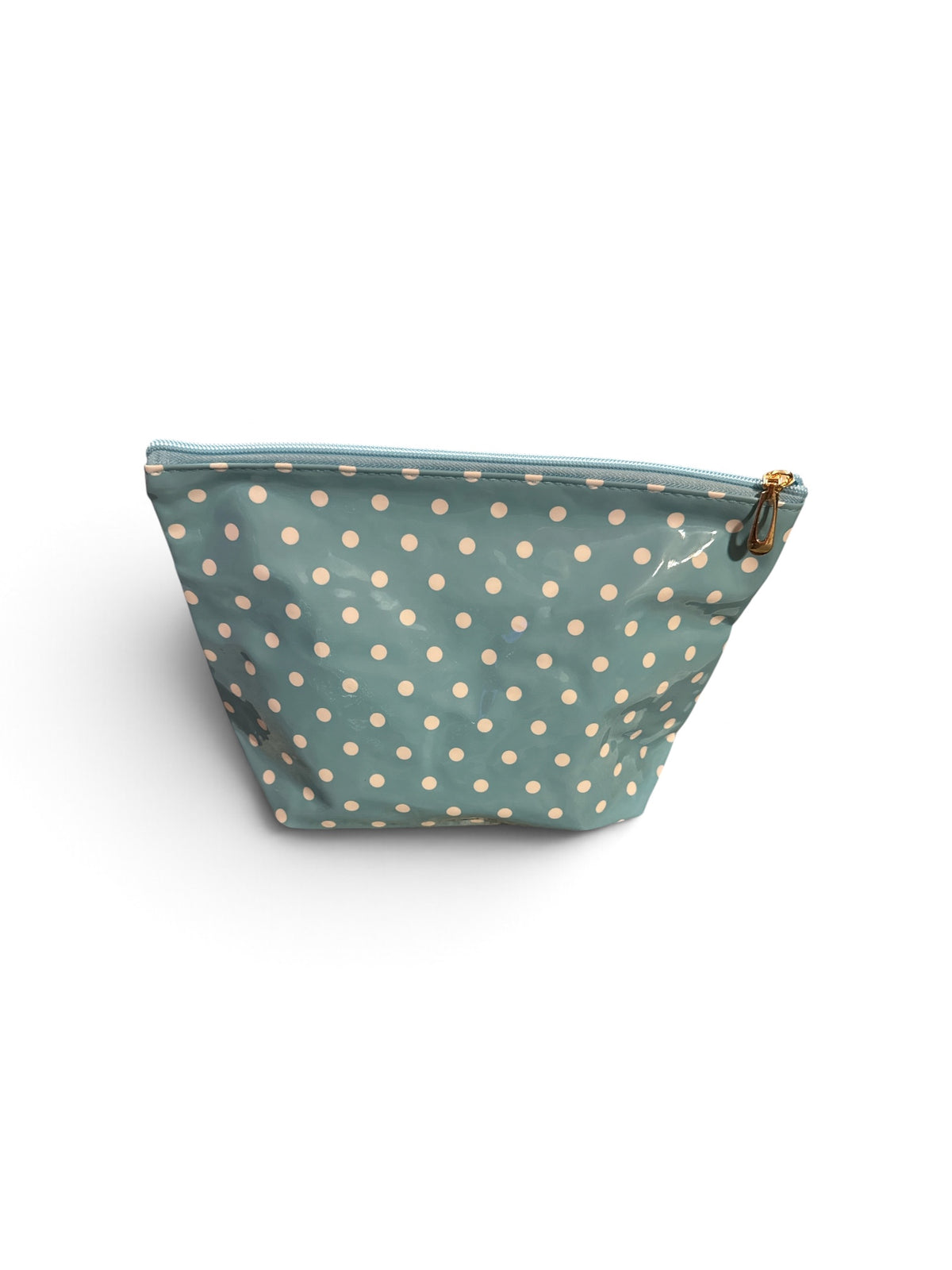 Polka Dot Everything Bag